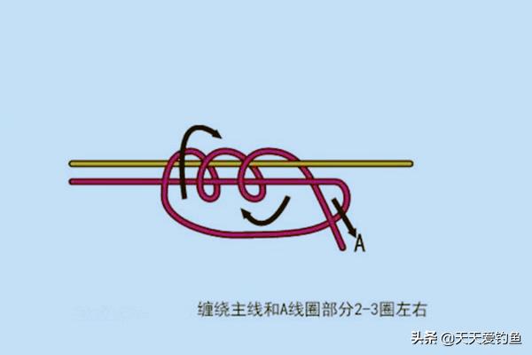 钓鱼线组打结视频教程,钓鱼打结方法图解教程大全