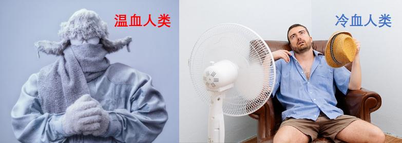 恐龙灭绝时期的冷暖情况,恐龙在6500万年后是否完全死亡