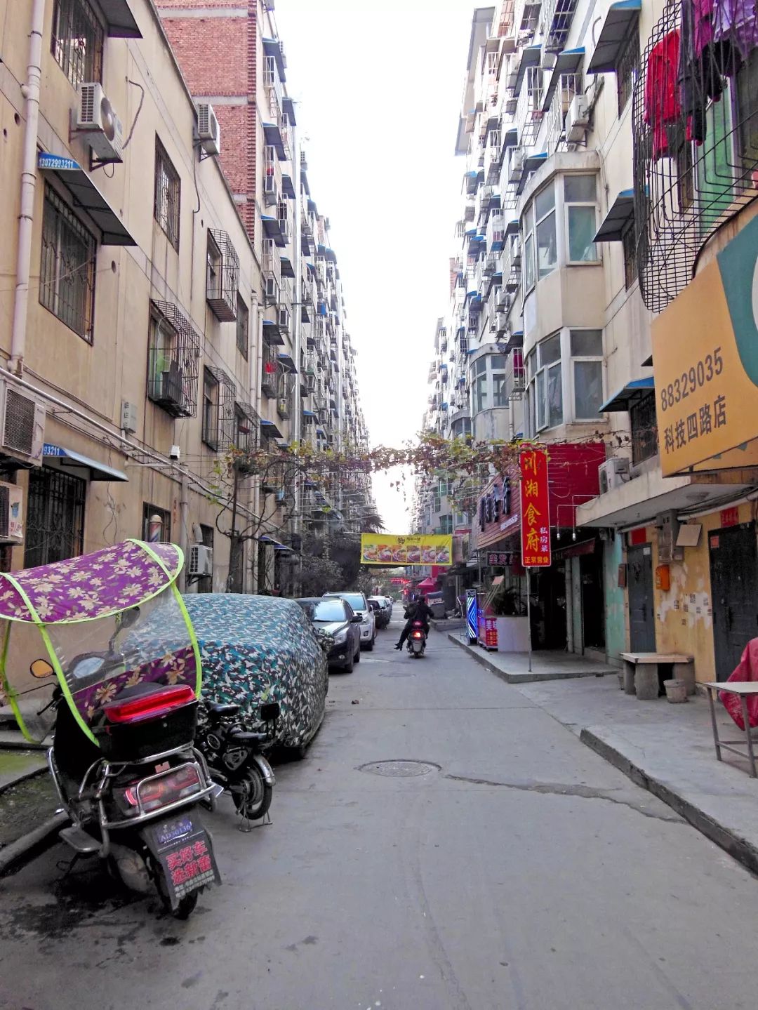 谢谢你男声唱,谢谢你闽南歌曲