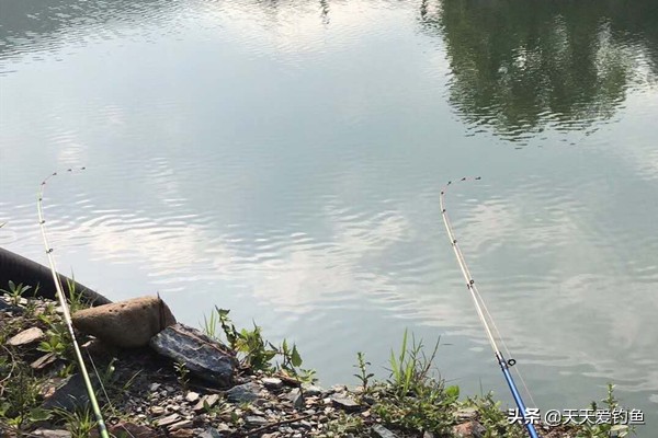 钓黄颡排钩怎么做最好用,钓黄腊鱼最好用什么串钩