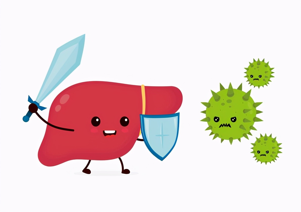 注意！乙肝携带者不是乙肝患者！别再傻傻分不清楚了