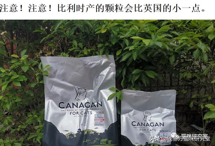 原之选猫粮评测,原本猫粮是国产还是进口