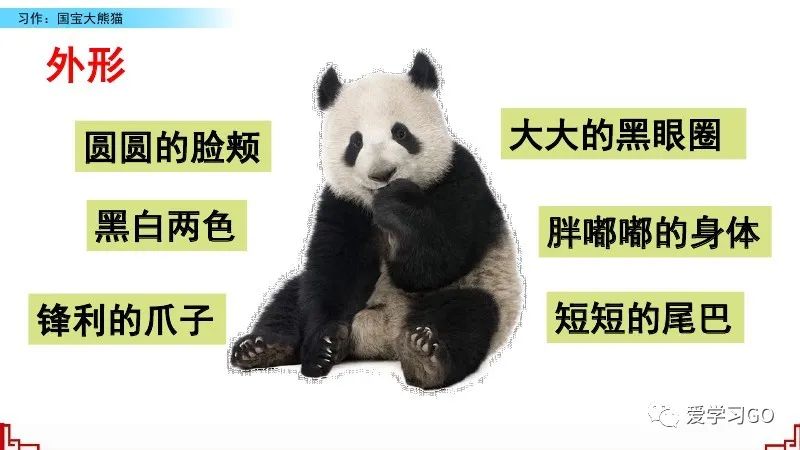 部编版三年级下册国宝大熊猫作文,三年级下作文国宝大熊猫写作指导