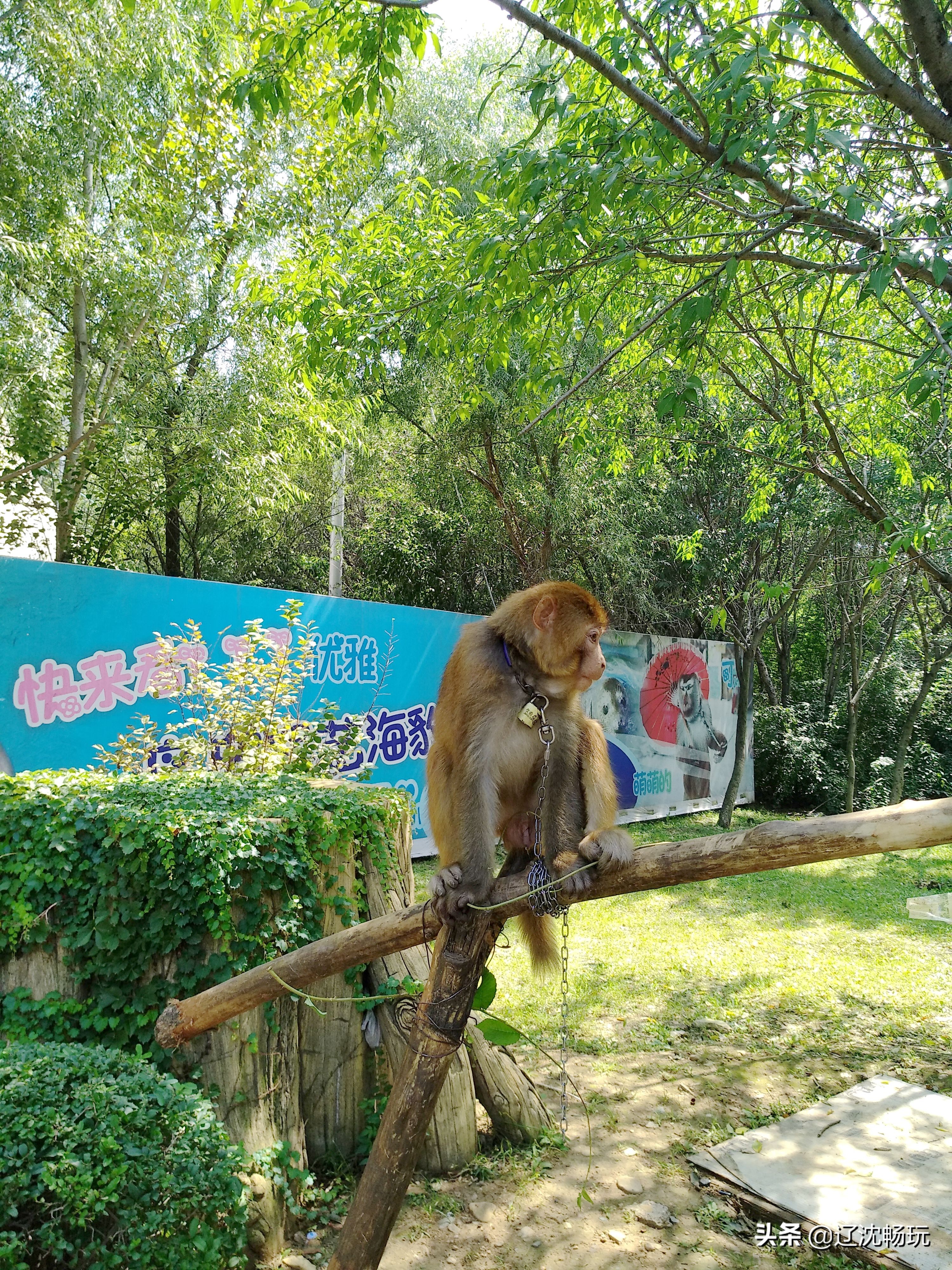 沈阳旅行推荐夏季景点攻略,沈阳冬日周边一日游旅游景点推荐
