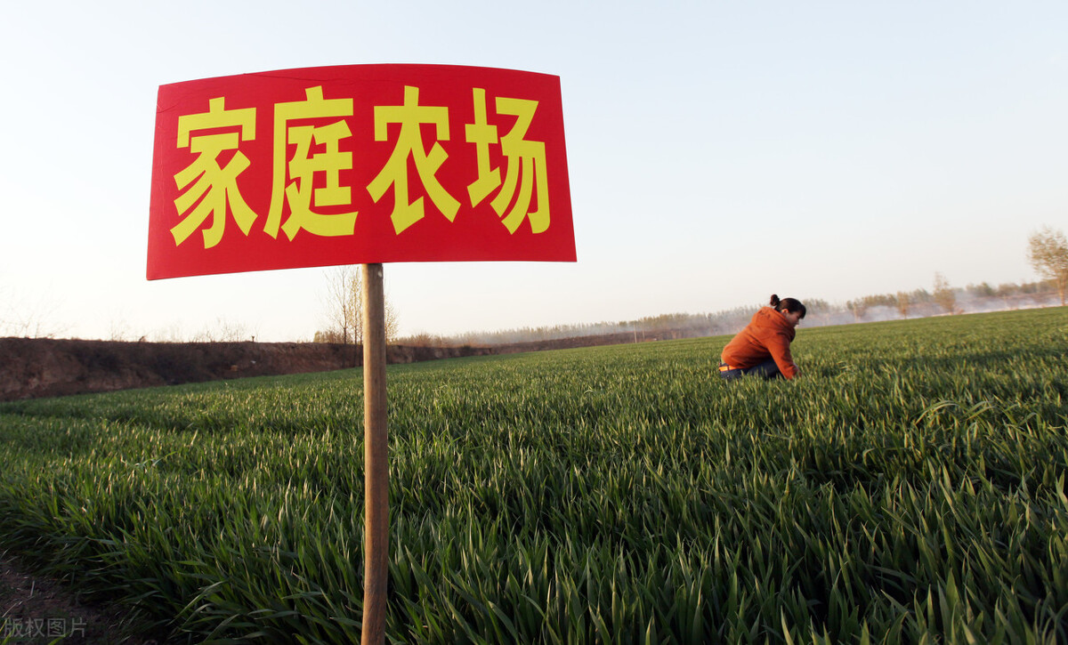 海南流转土地30亩可申请家庭农场,黑龙江2021申请家庭农场条件