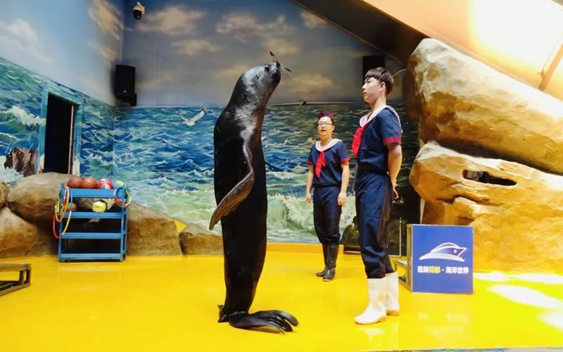 鏄嗘槑钀屽疇鍔ㄧ墿涓婚涔愬洯,鏄嗘槑瀹ゅ唴钀屽疇涔愬洯