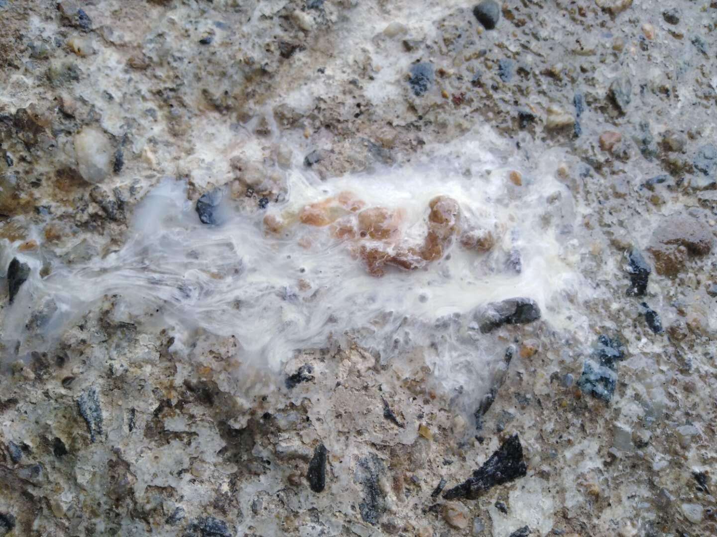 大肠杆菌治疗处方,专治大肠杆菌的药物