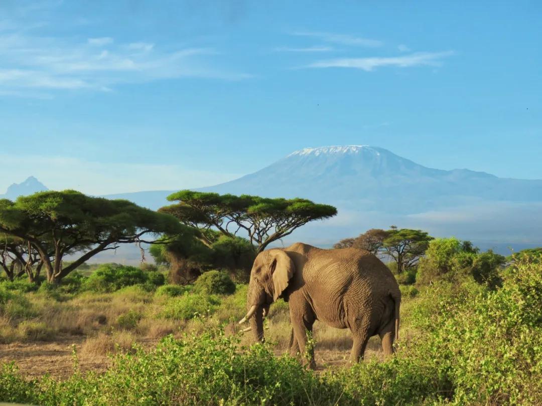 十年蝶变的女孩,十年逆袭的女人