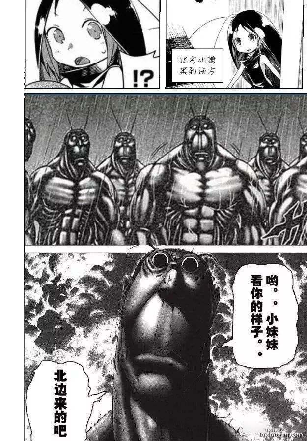 广东的蟑螂有多可怕,广东的蟑螂有多可怕动画版