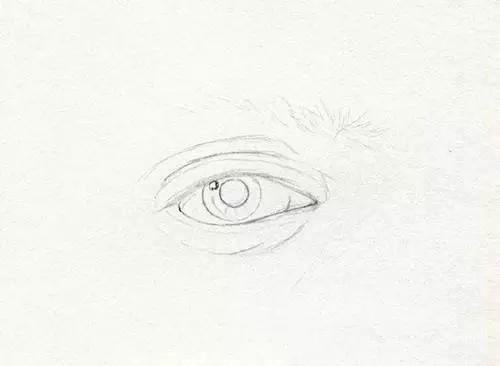 眼睛画完脸不知道怎么画,初学者画眼睛五种简单方法速成