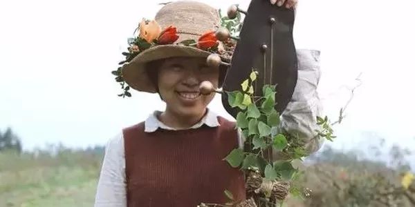 花艺行业市场前景,花艺行业赛道