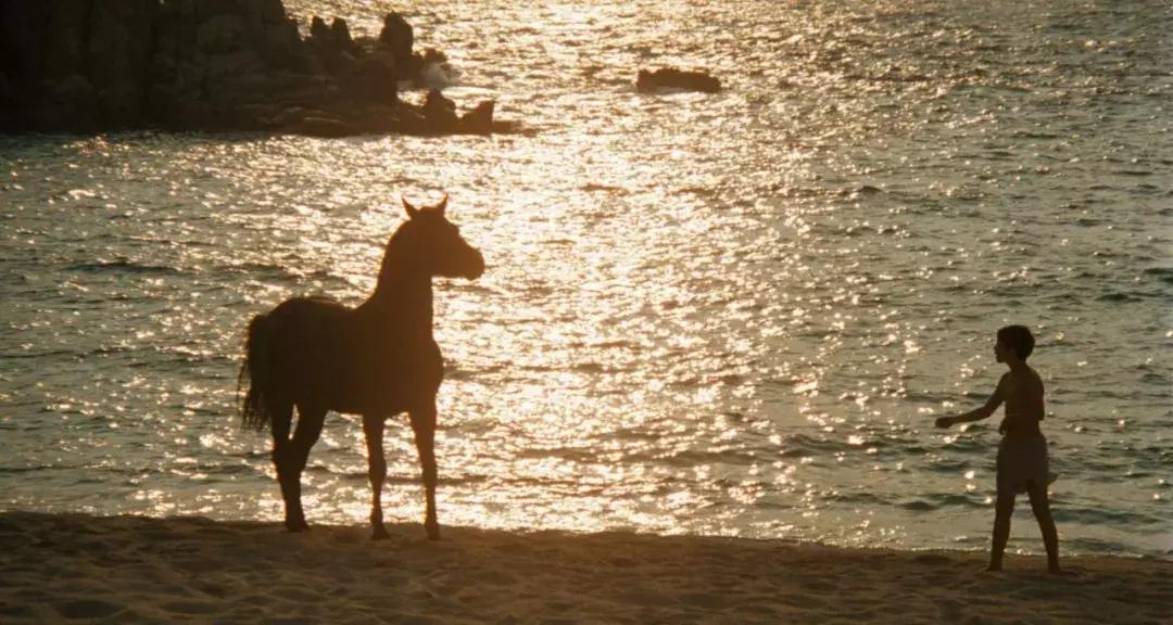 无马不自由！22部“有马”的电影，请盘住