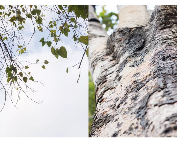 激光近视手术后的恢复过程,激光近视手术超越常识的后遗症