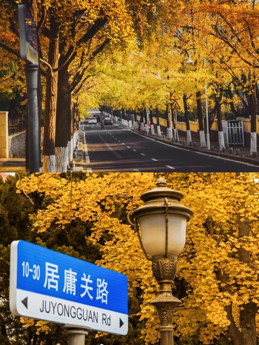 又一条最美自驾线路,又一条绝美进藏自驾公路