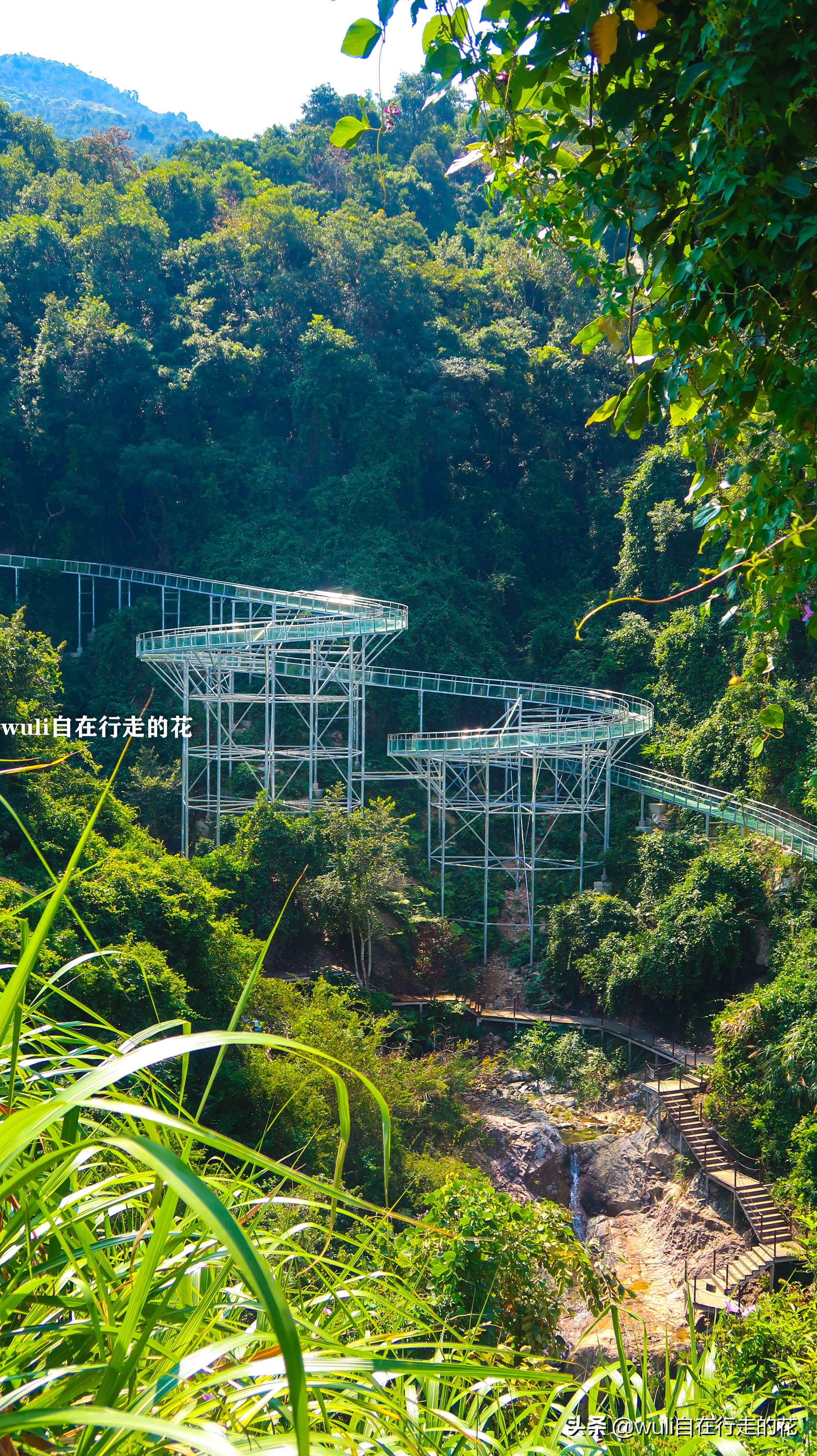 长泰县十里蓝山,漳州长泰十里蓝山攻略