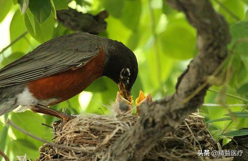 今天你“么么哒”了吗？从医学角度告诉你人类为什么要“亲吻”