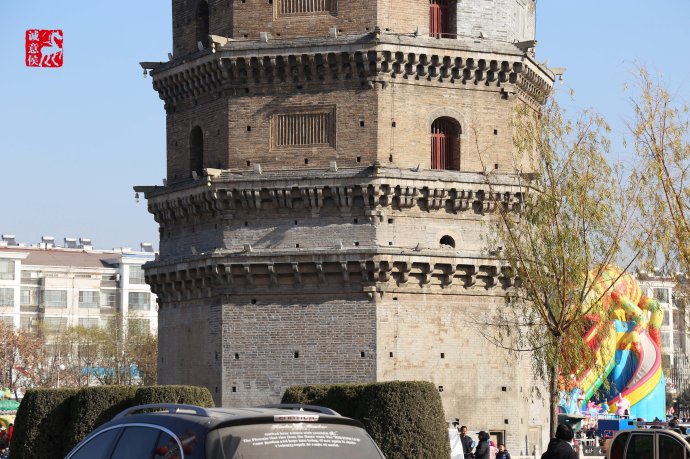 奇怪的古塔燕子----“严冬不南迁，有足不成行”