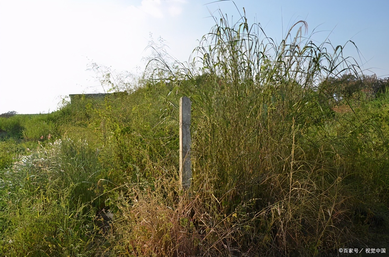 青甸石人传说真相,青甸石人传说故事