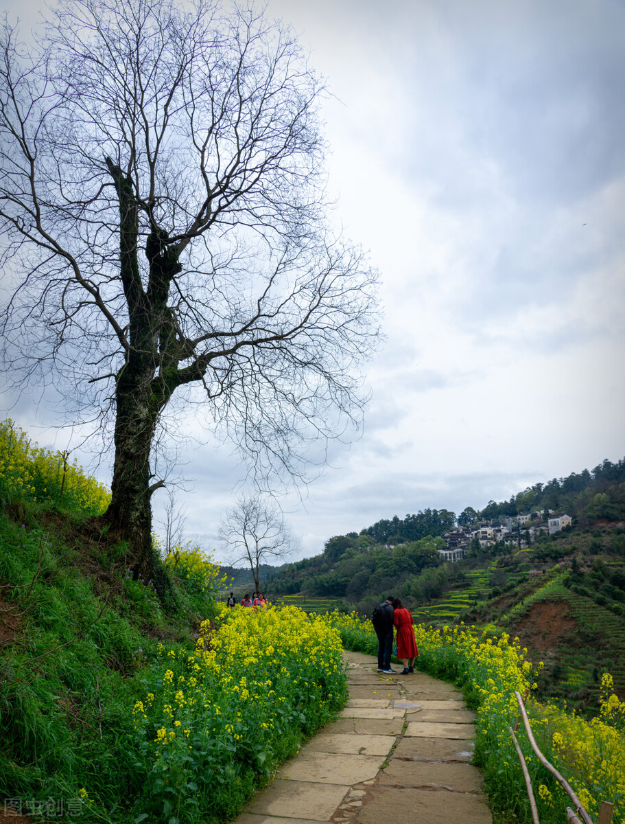 关于梦想信念的古诗词有哪些,有关梦想的名言警句或古诗词