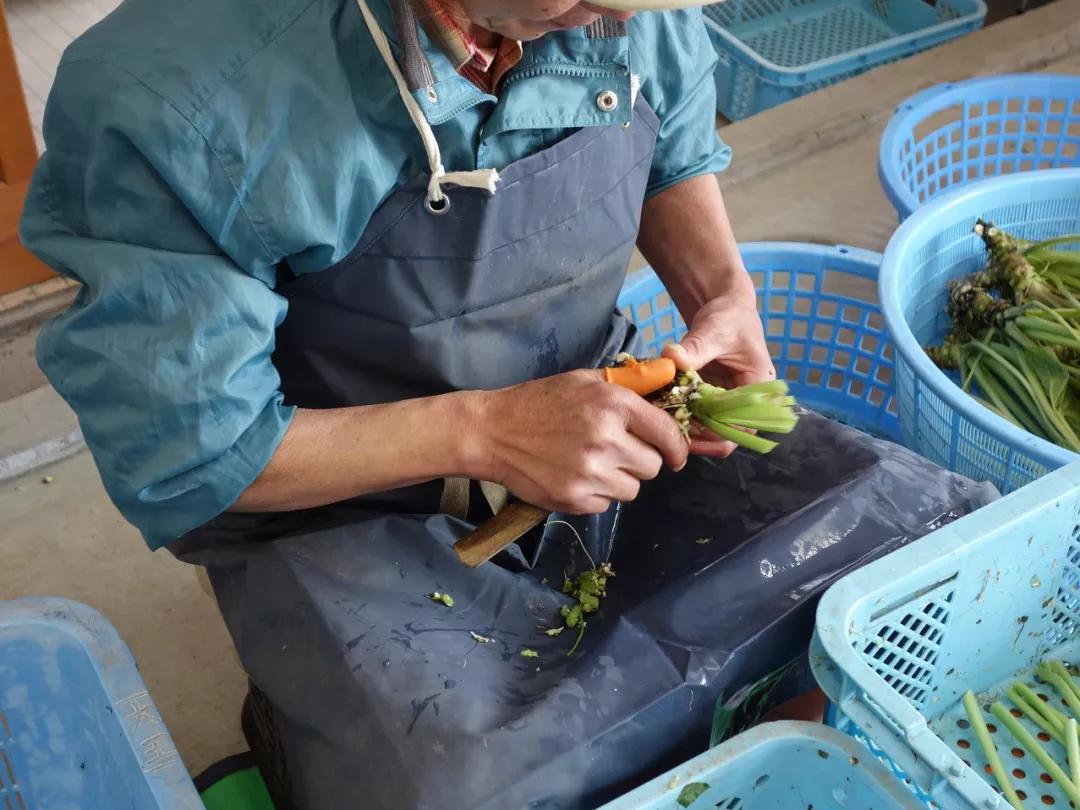 225亩公园能容纳多少人,225亩荒地