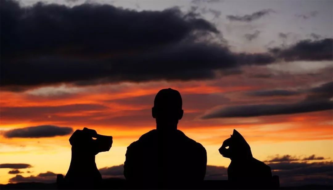 这个男人拍的漫画剪影，小孩看笑了，大人却哭了......