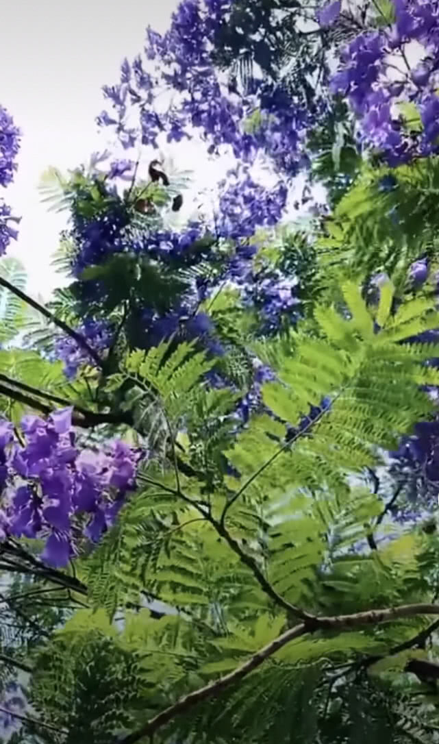 和婆婆吵架公公打电话到我娘家,儿媳妇和公公吵架怎么办