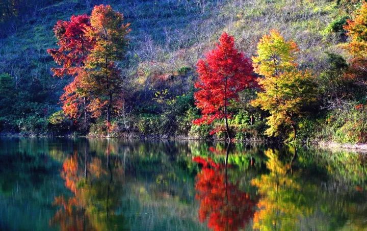 广西是一个环境优美的地方,广西是一个非常有意思的地方