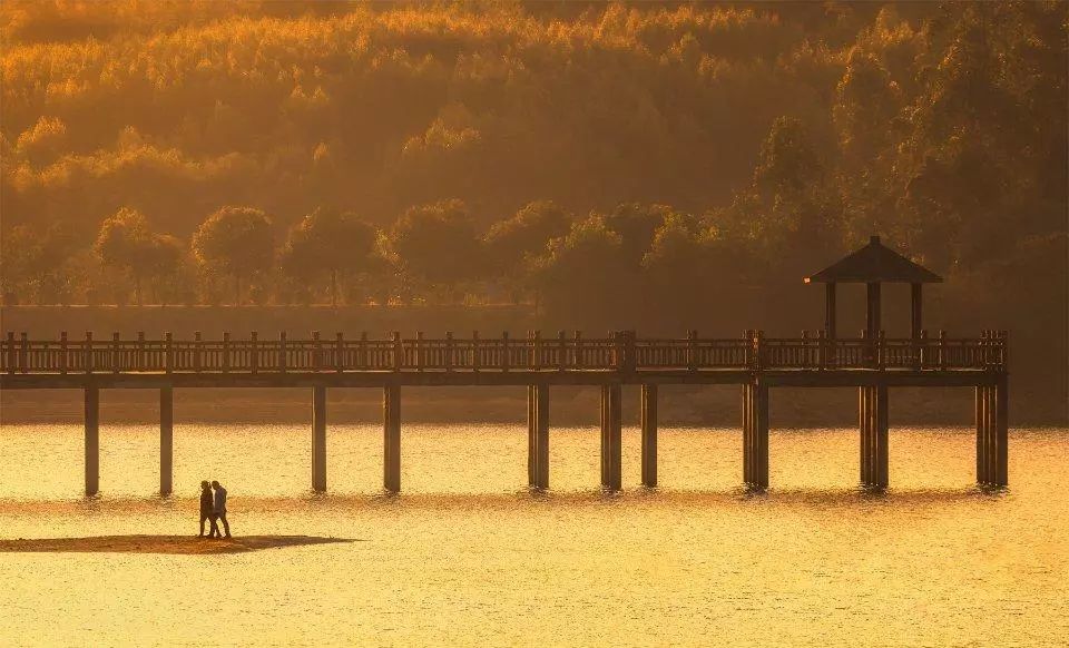 摄影欣赏和点评,世界摄影作品点评