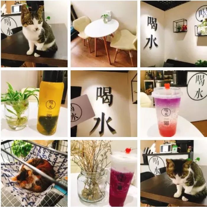 日照大学城美食推荐最新,日照大学城美食攻略