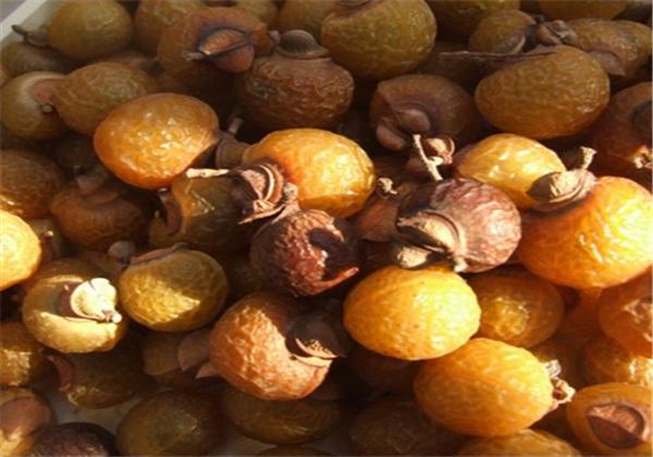 无患子树可以在北方家中种植吗,无患子植物种植