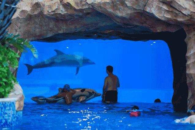 去珠海长隆玩住哪家民宿最划算,珠海长隆水上乐园民宿