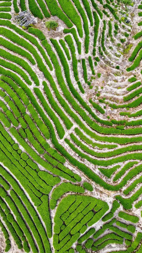 泉州话你真厉害,你真的太拼了英语