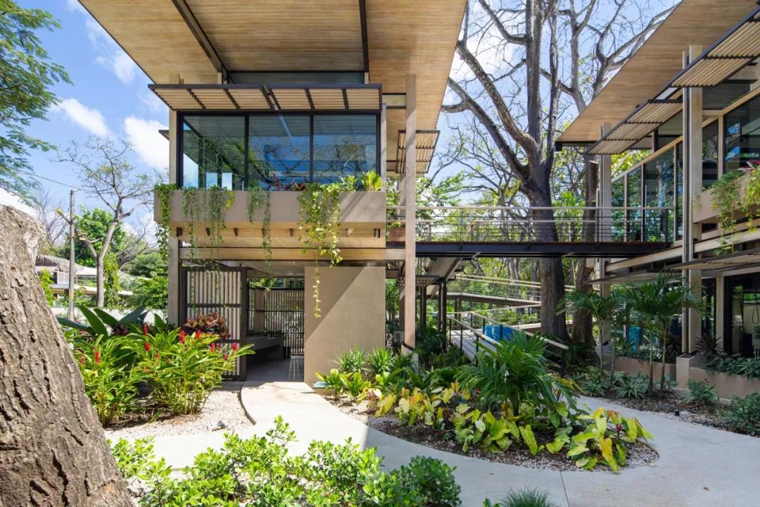 一个完全开放式的林中村落——哥斯达黎加体育中心