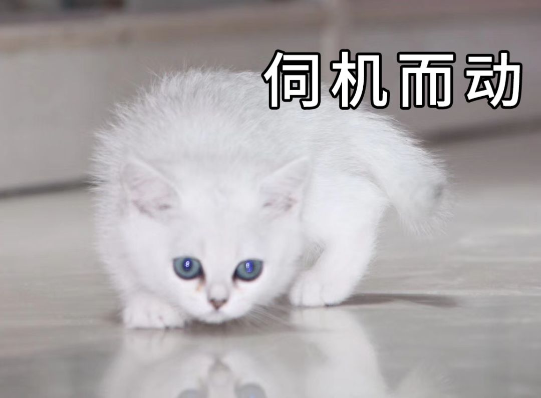 花样年的开发商是哪个,花样年项目谁接手