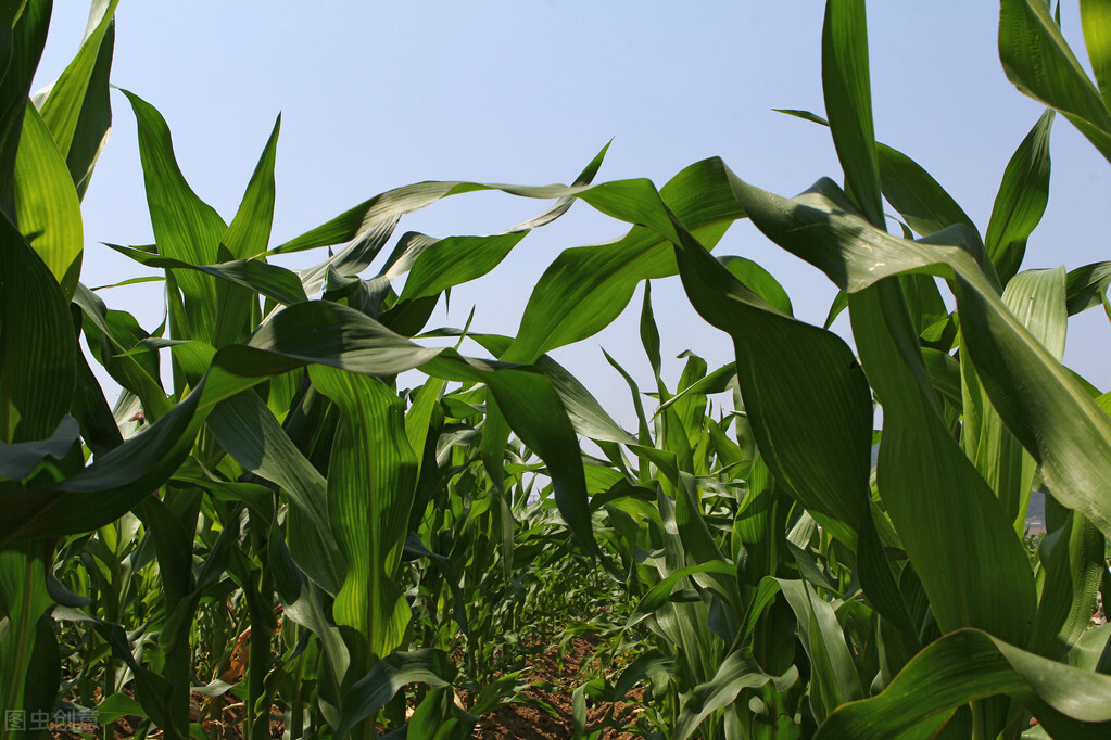 最新农林水利项目清单,颍上县2016重大工程项目获批目录