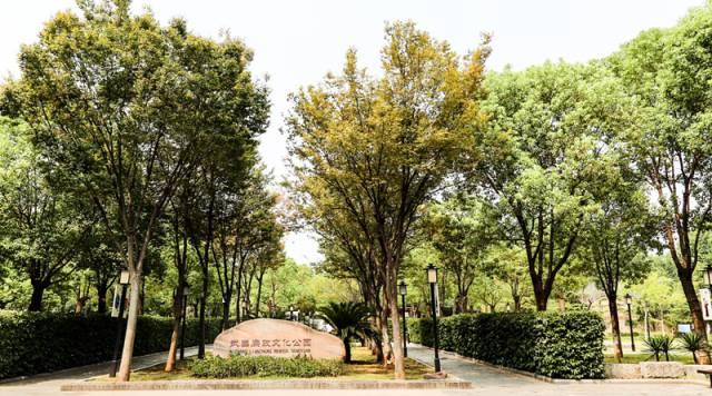 曾经的一座城市武汉,曾经的武昌区