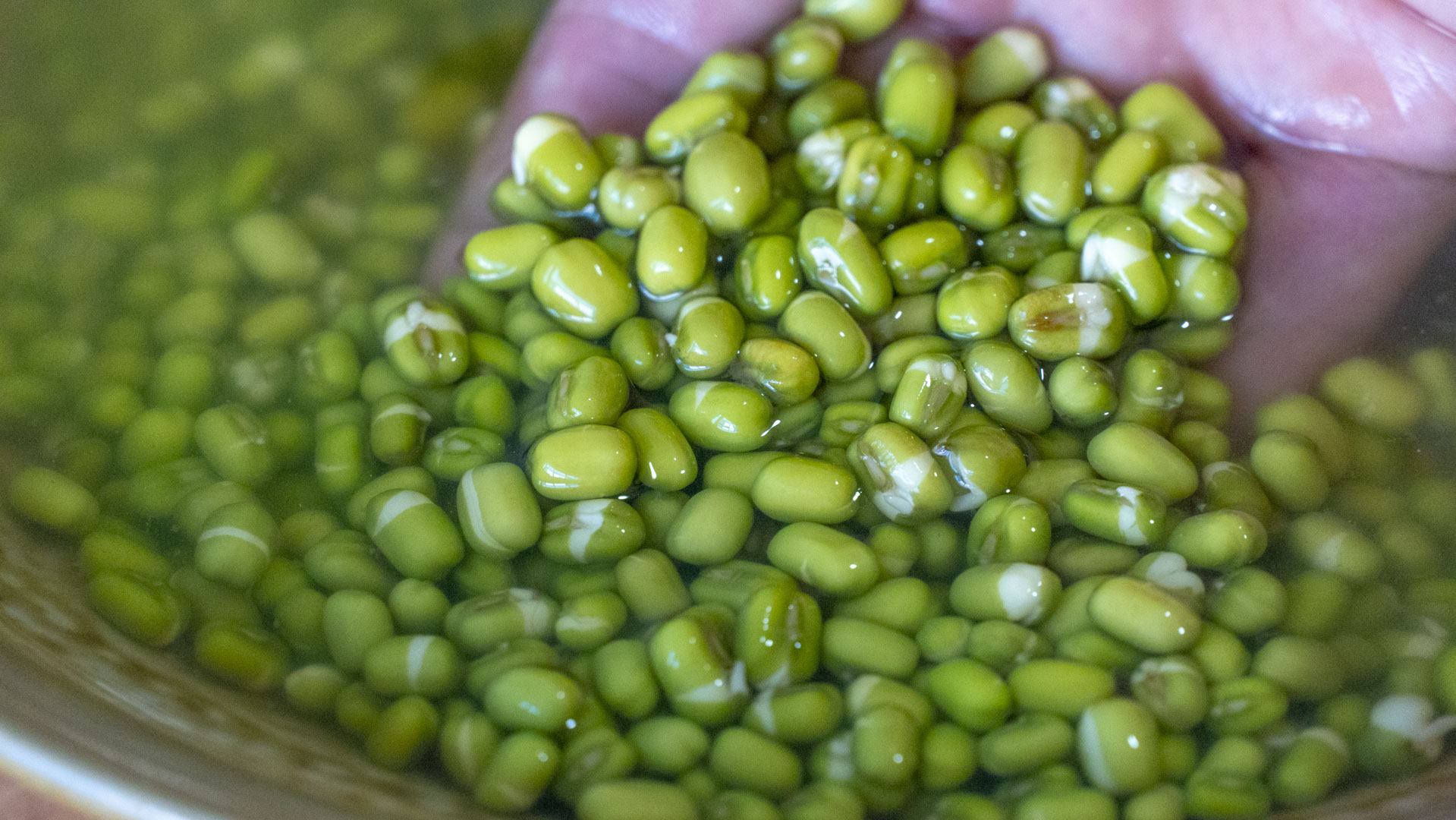 润肺降火的青菜,清肺去火的夏季美食菜谱