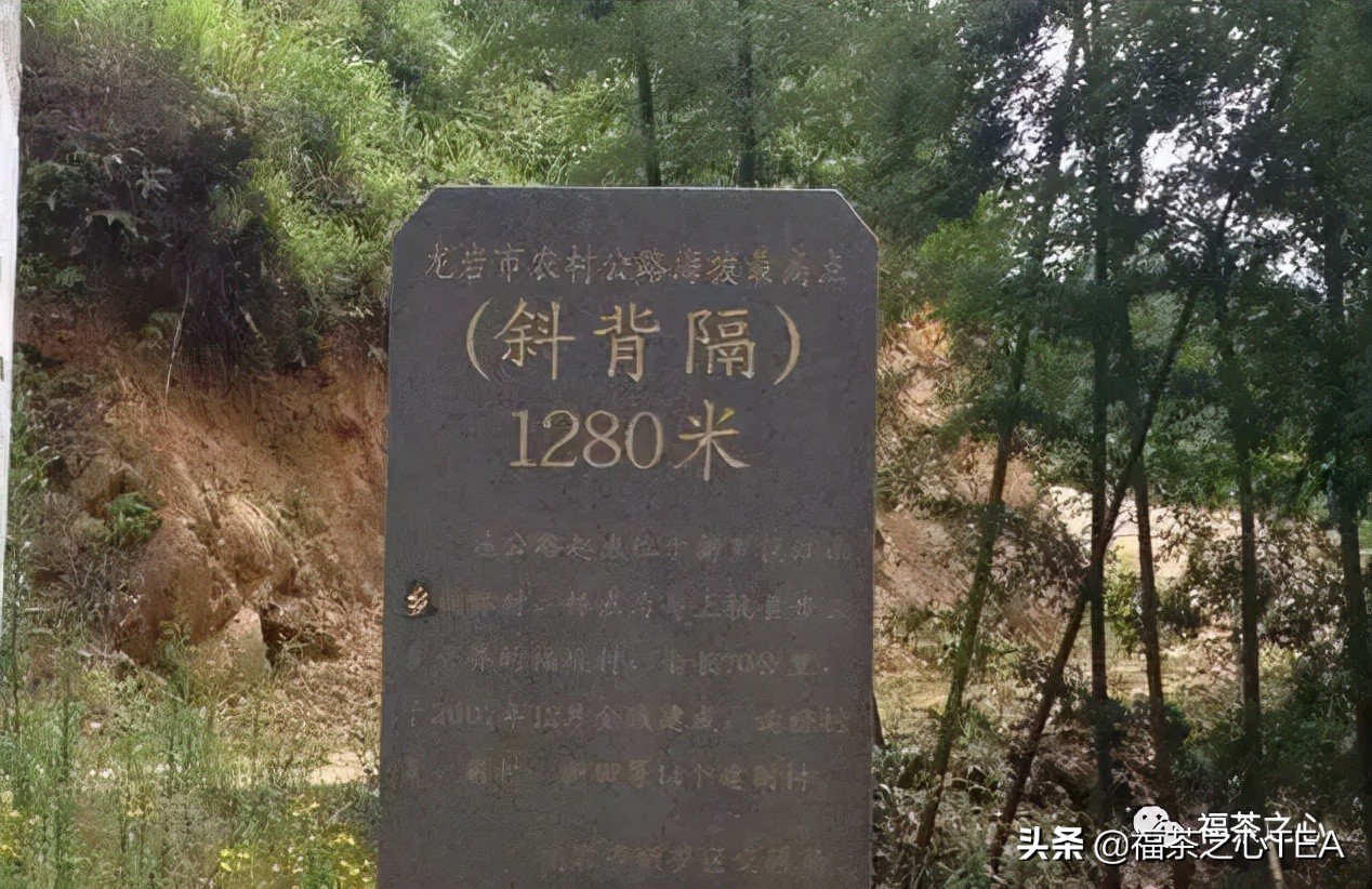 福建最好的茶叶有哪些,福建有哪些茶叶比较好