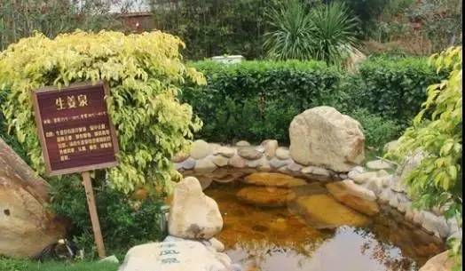 怡情谷温泉酒店399错峰出游,温泉度假酒店推荐广东含自助晚餐