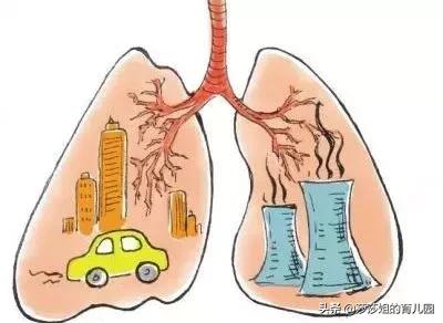 养心养肝护肾的方法,疏肝养心润肺药