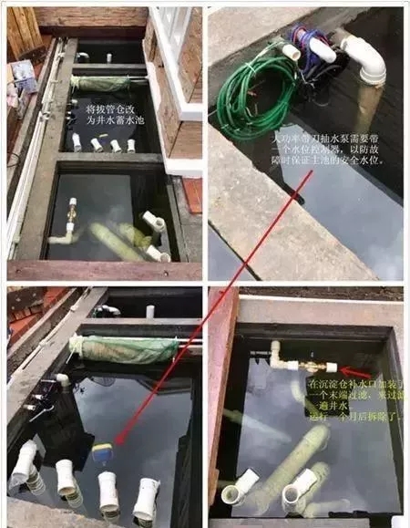 小院锦鲤鱼池建造全过程,自己建造庭院锦鲤鱼池