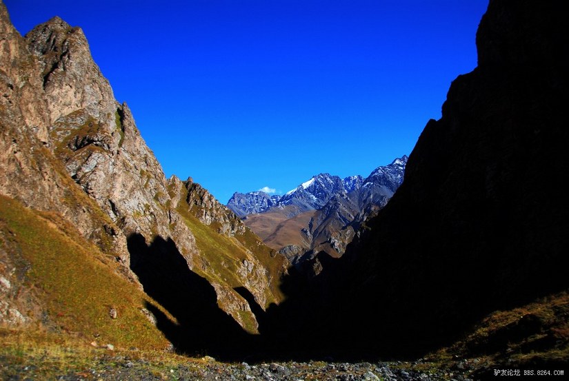 狼c调简谱教唱,狼c