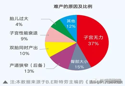 母猪产能恢复的方法,我们要怎么才能养好猪