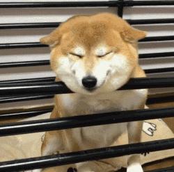 结膜炎流眼泪用眼药水没用怎么办,结膜炎眼睛流眼泪严重用什么药水