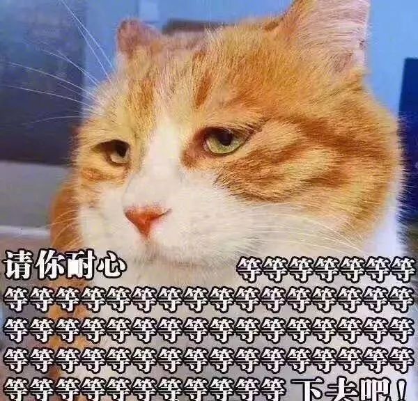 双十一购物优惠券诈骗案例,双十一骗11万