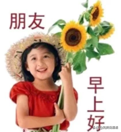 微信早上好最暖心祝福问候语,早上好问候祝福语暖心句子图片