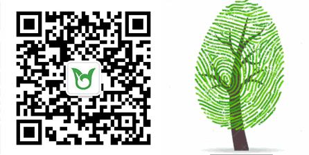 广州中学体育特长生招生条件,广州白云中学特长生名单