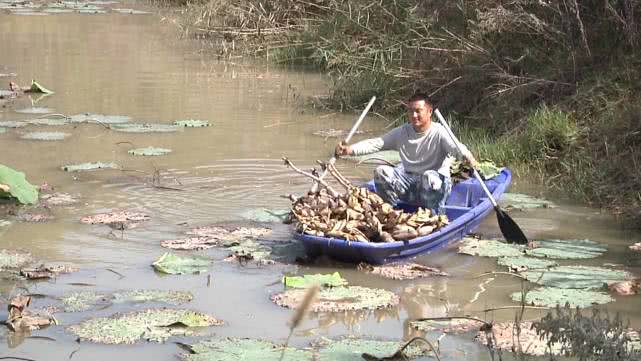向往的农村生活怎么赚钱,回农村花百万打造向往的生活