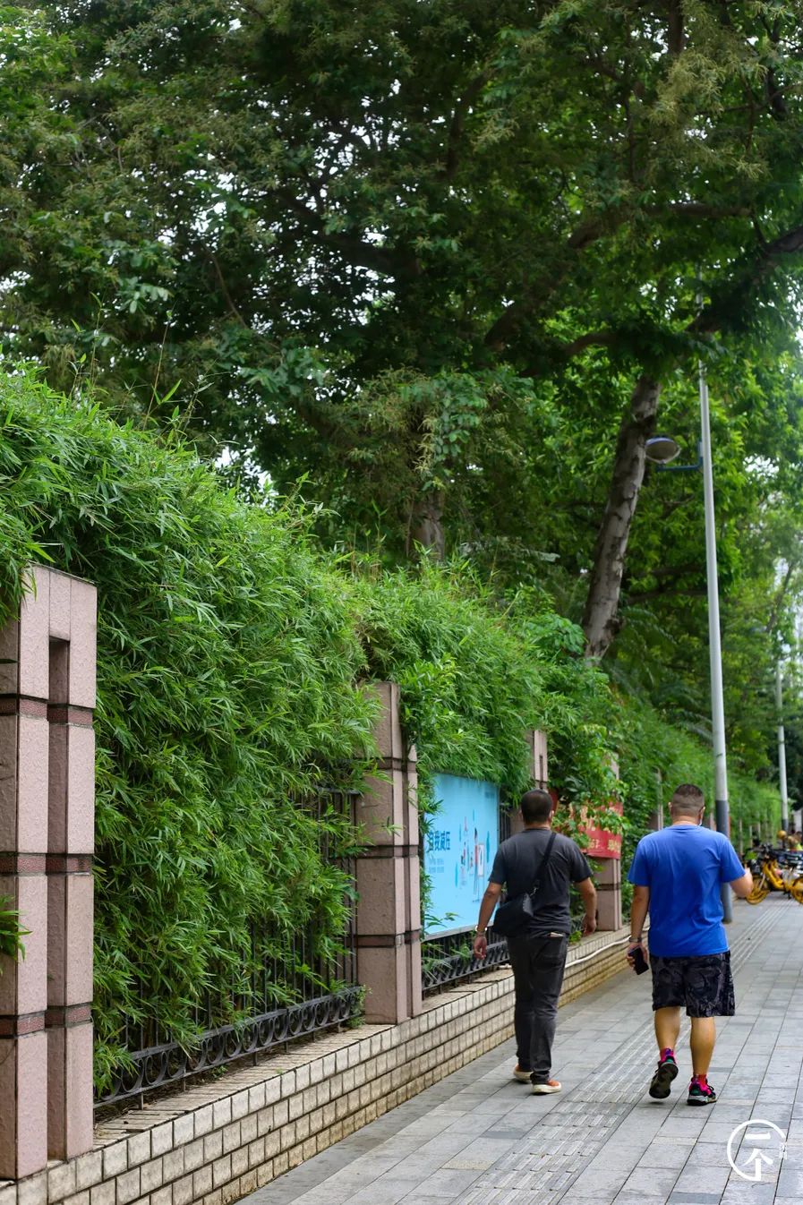 深圳一座被高估的城市,深圳严重被低估的板块