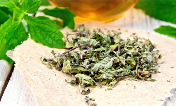 薄荷种植的详细步骤图片,薄荷植物能在家种植吗